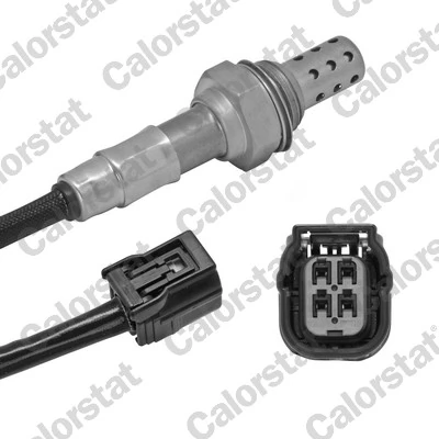Oxygen Sensor